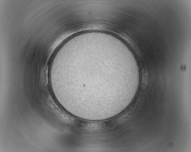 X0000114681078200911121451