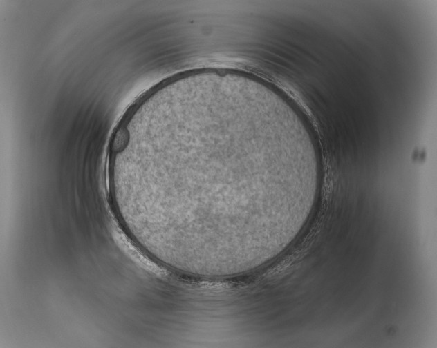 X0000114681080200911121451