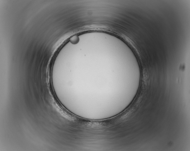 X0000114681082200911121451