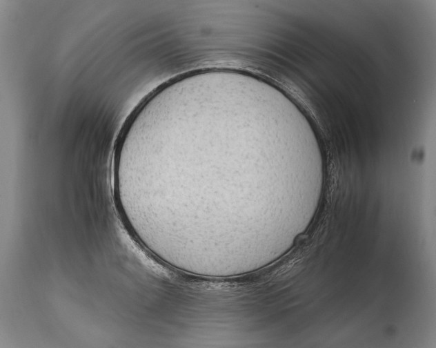 X0000114681084200911121451