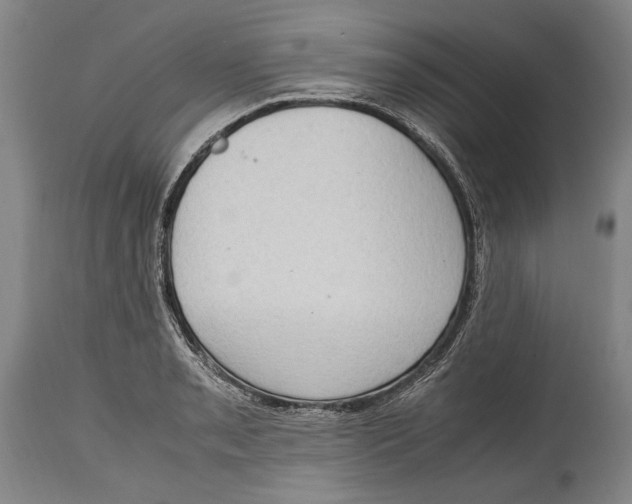 X0000114681085200911121451