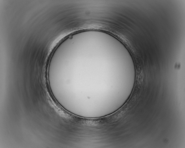 X0000114681086200911121451