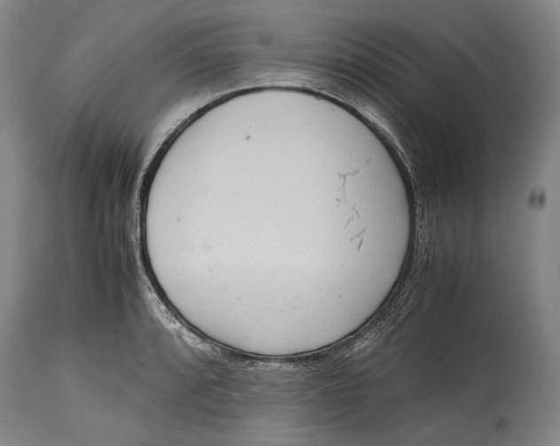 X0000114681088200911121451