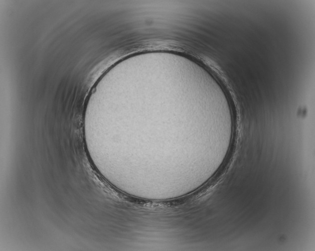 X0000114681089200911121451