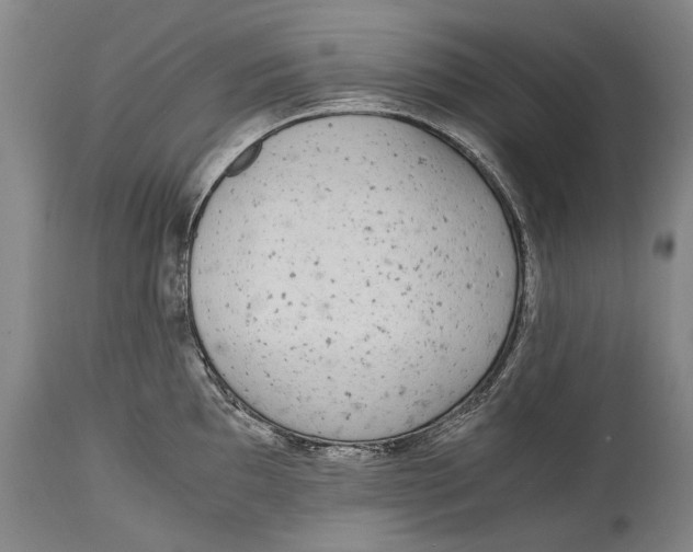 X0000114681097200911121451