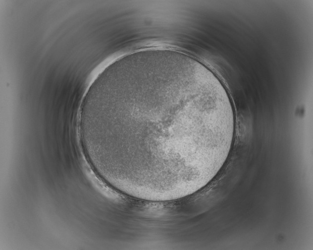 X0000114681098200911121451