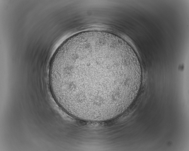 X0000114681099200911121451