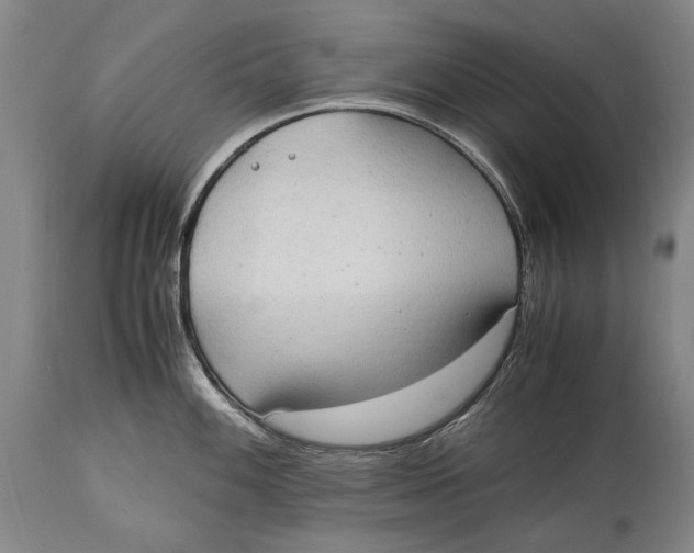 X0000114681100200911121451