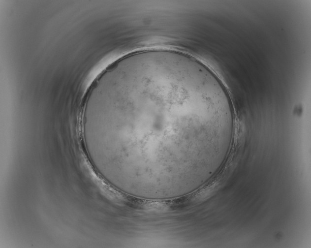 X0000114681101200911121451