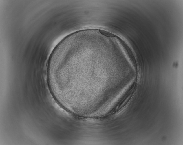 X0000114681102200911121451