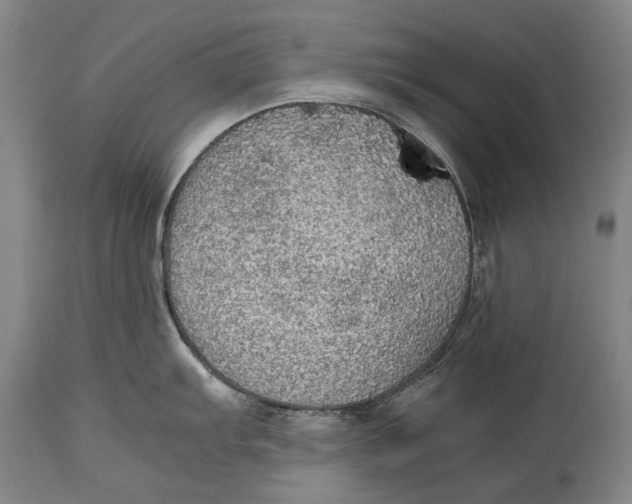 X0000114681103200911121451