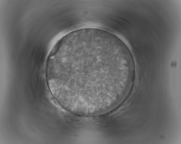 X0000114681104200911121451