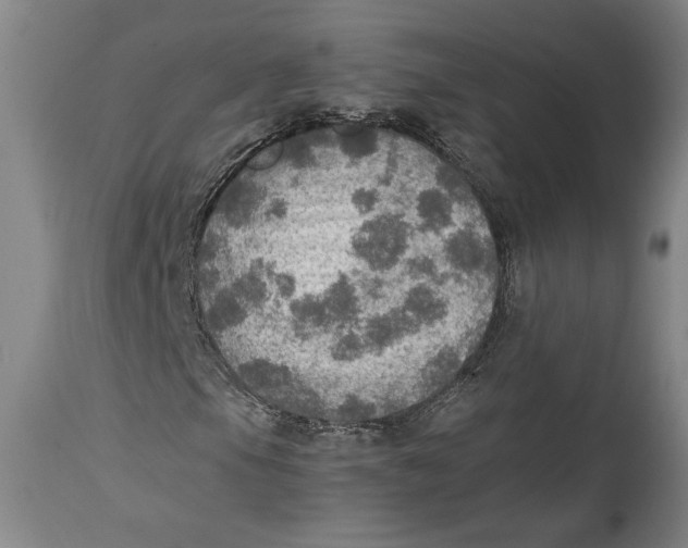 X0000114681105200911121450