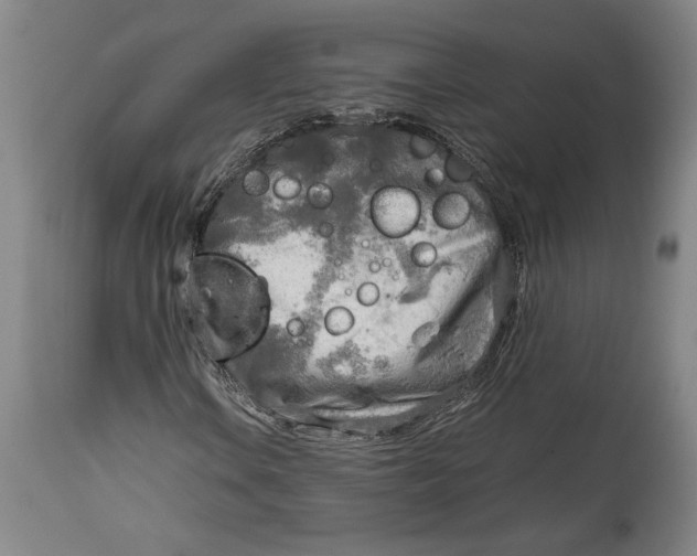 X0000114681106200911121450