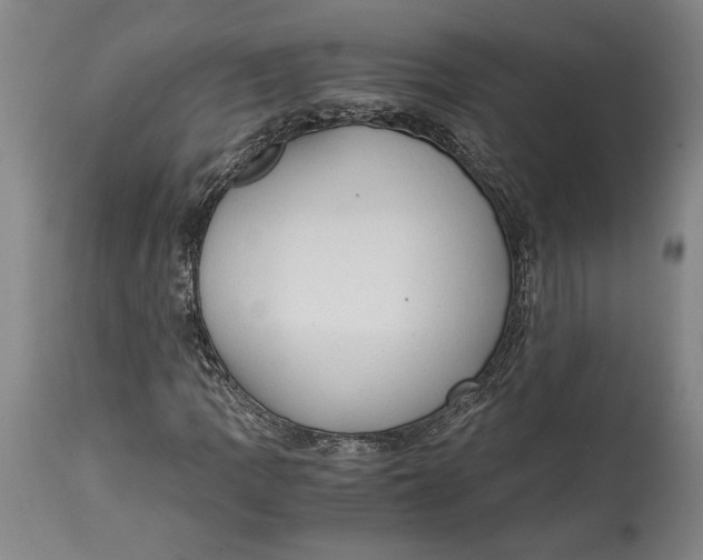 X0000114681109200911121450