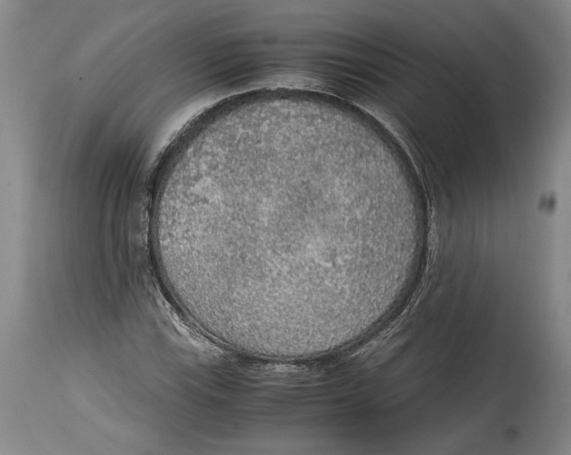 X0000114681115200911121450