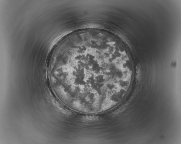 X0000114681117200911121450