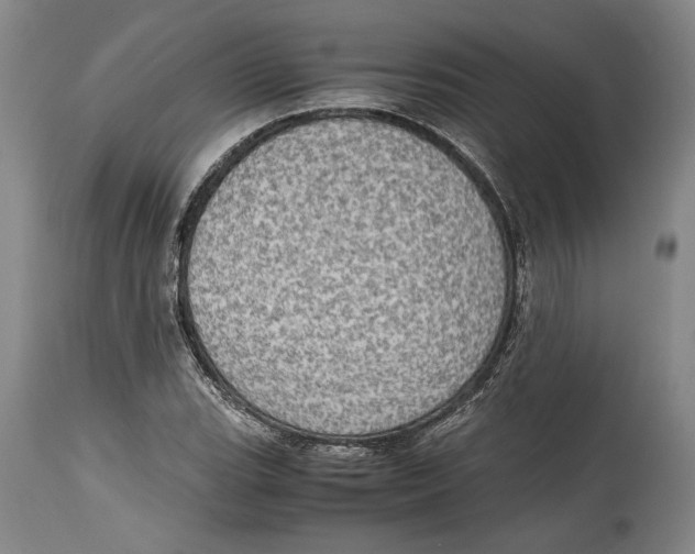 X0000114681119200911121450