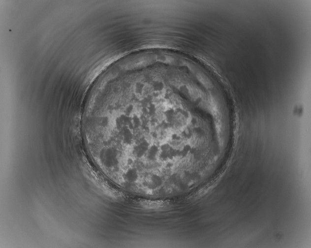 X0000114681121200911121450