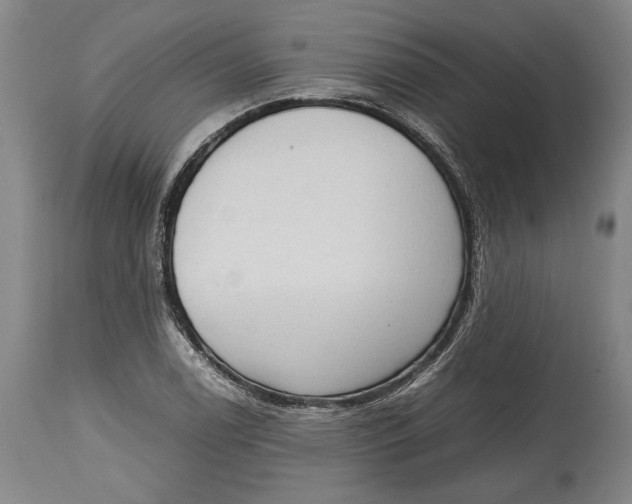 X0000114681122200911121450