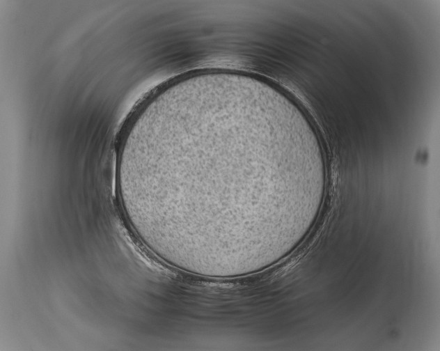 X0000114681123200911121450