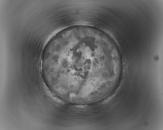 X0000114681125200911121450