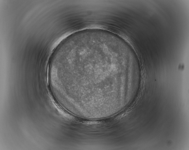 X0000114681127200911121450
