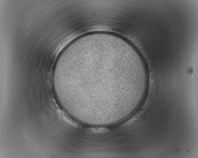 X0000114681129200911121450
