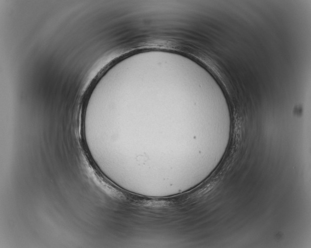 X0000114681131200911121450