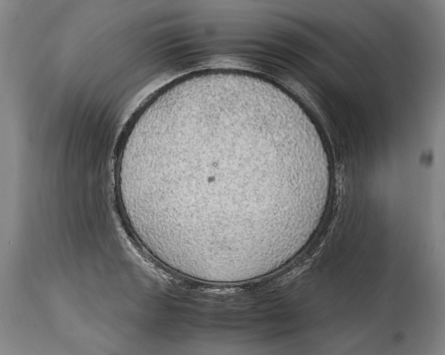 X0000114681133200911121450