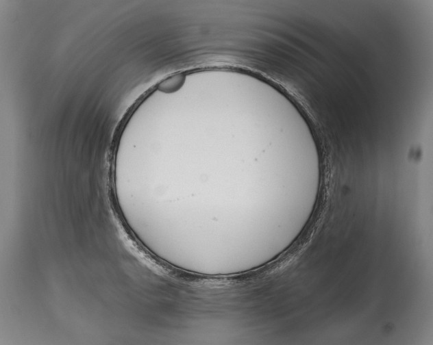X0000114681134200911121450
