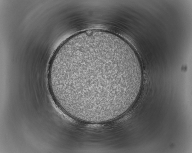 X0000114681135200911121450