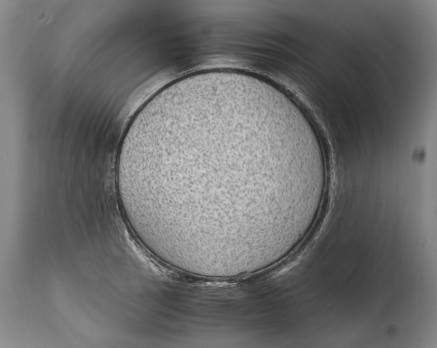 X0000114681137200911121450