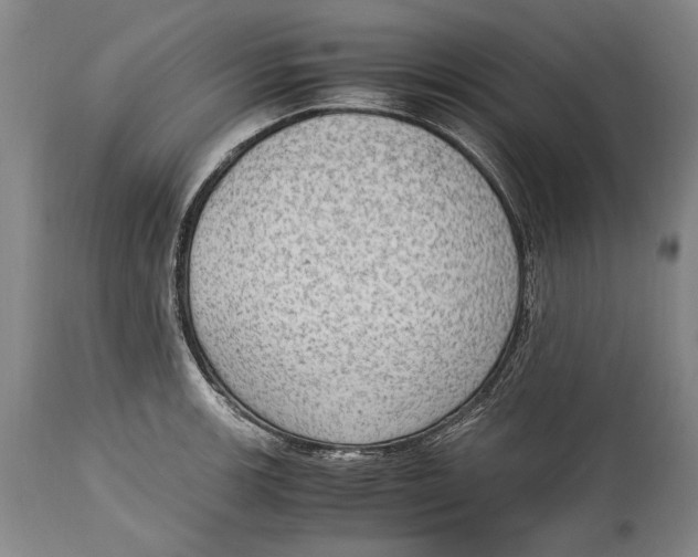 X0000114681139200911121450