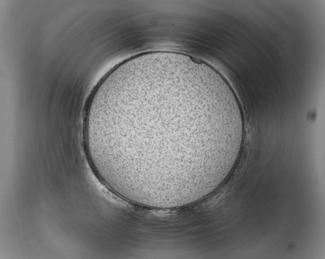 X0000114681147200911121451