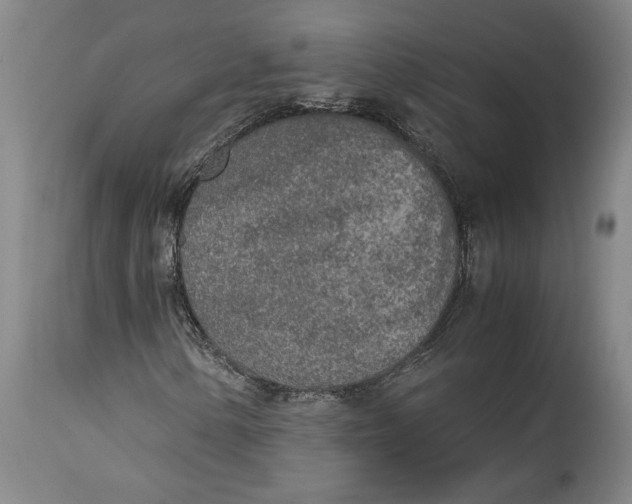 X0000114681154200911121450