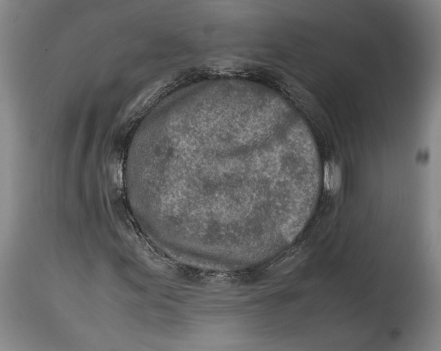 X0000114681155200911121450