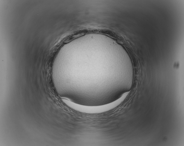 X0000114681157200911121450
