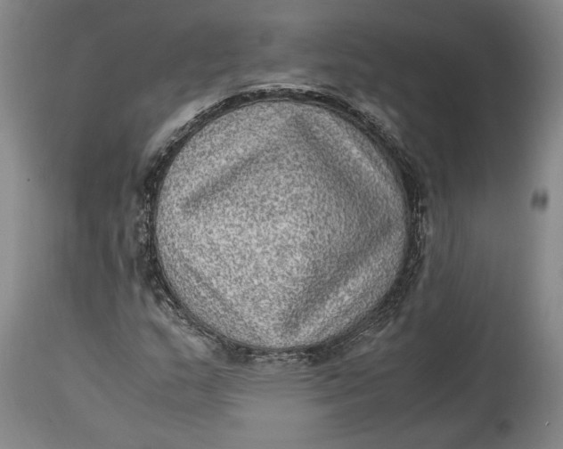 X0000114681159200911121450