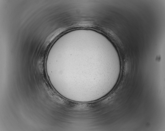 X0000114681162200911121450