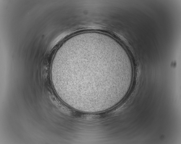 X0000114681163200911121450
