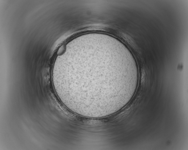 X0000114681164200911121450