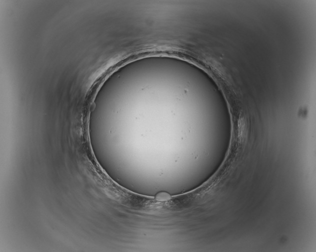X0000114681165200911121450