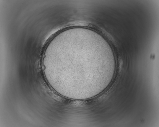 X0000114681166200911121450