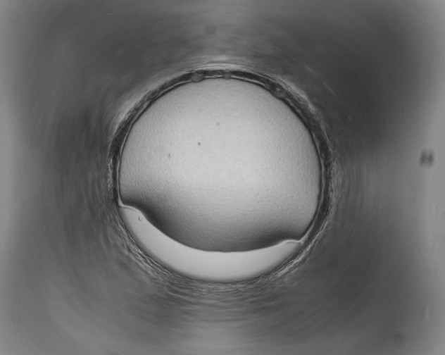 X0000114681167200911121450