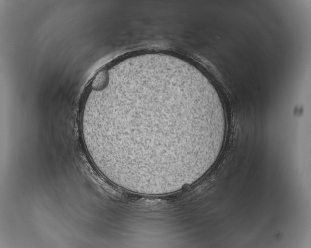 X0000114681168200911121450