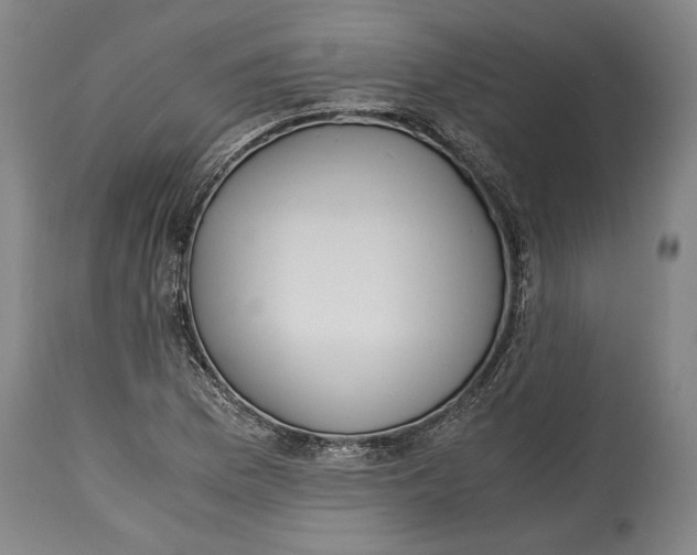 X0000114681169200911121450