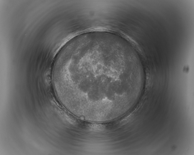 X0000114681170200911121450