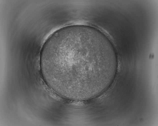 X0000114681174200911121450