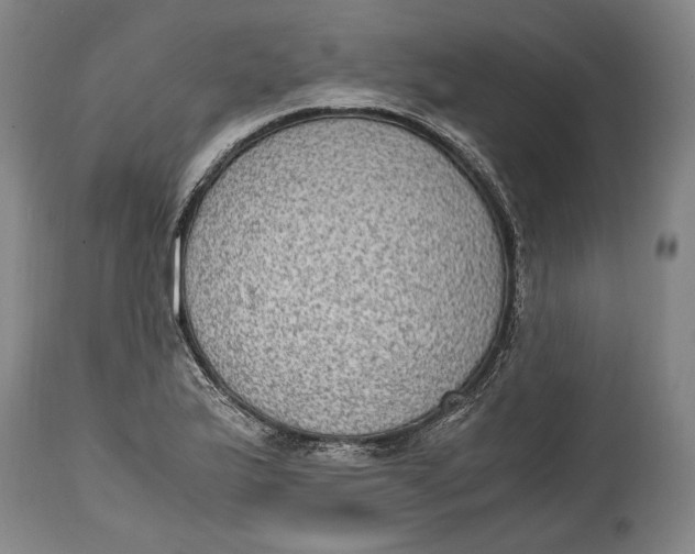 X0000114681175200911121450